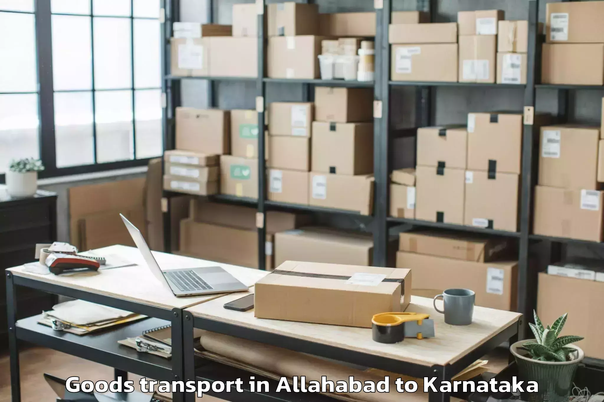 Professional Allahabad to Peddamandyam Goods Transport